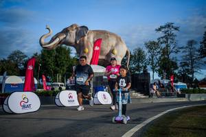 BIB: 
                            <button type="button" onclick="openModal(26541843)" class="btn btn-primary btn-sm float-right btn-popup" data-toggle="modal" data-target=".modal-high-quality">
                        <i class="fas fa-shopping-cart"></i> Add to Cart
                    </button>
                                            <button type="button" onclick="isThisMe(26541843, true)" class="btn btn-success btn-sm float-right btn-popup btn-isme hidden" data-toggle="tooltip" data-placement="bottom" title="นี่คือรูปของคุณใช่ไหม คลิกที่นี่เพื่อเอาเข้าอัลบั้ม">
                        <i class="fas fa-plus"></i> Add to album
                    </button>
                    <button type="button" onclick="isThisMe(26541843, false)" class="btn btn-warning btn-sm float-right btn-popup btn-isnotme hidden">
                        <i class="fas fa-ban"></i> Remove from album
                    </button>